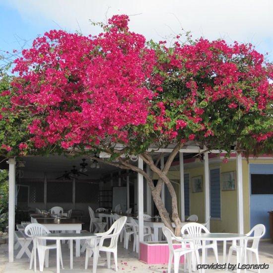 Anegada Reef Hotel The Settlement Restaurant photo