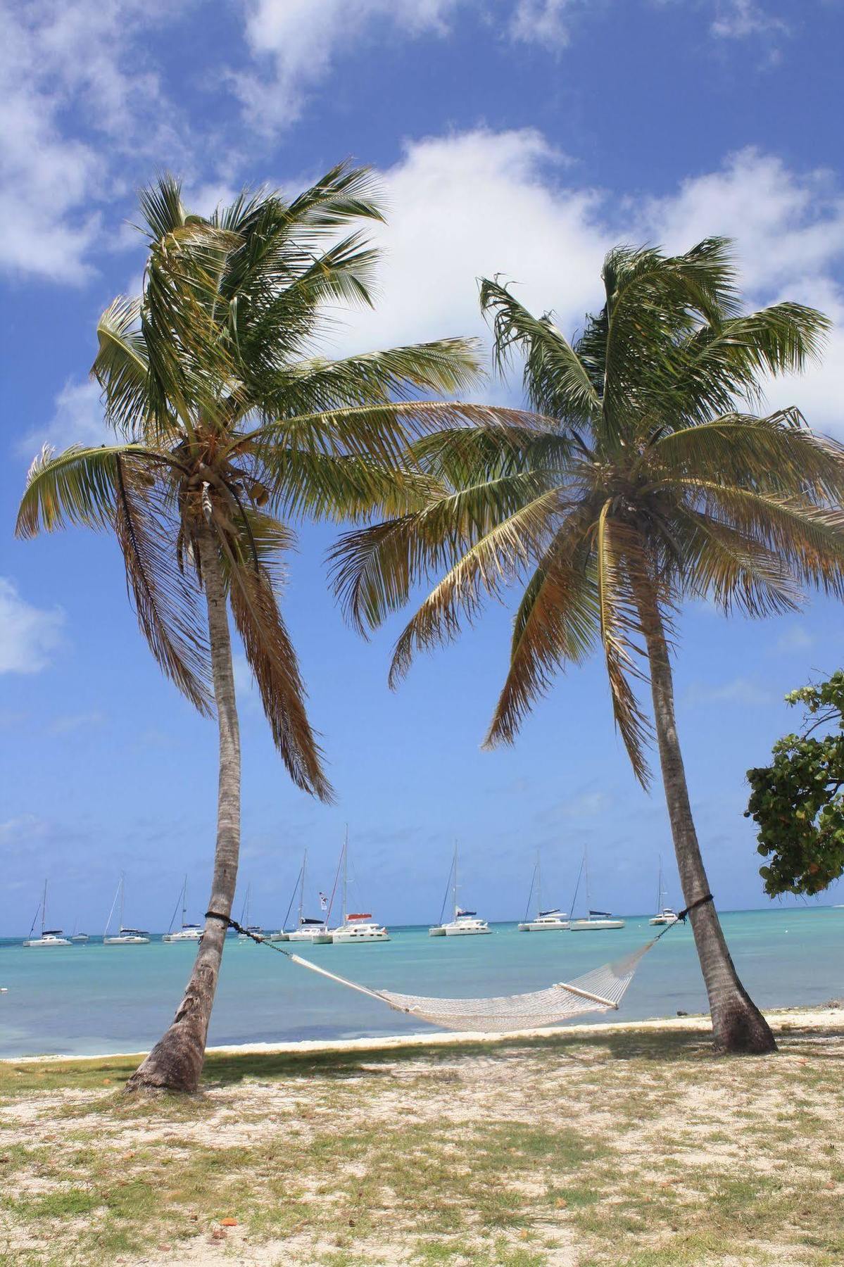 Anegada Reef Hotel The Settlement Exterior photo